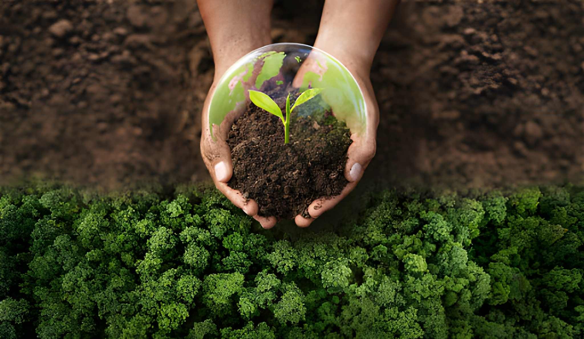 protect our environment and build a circular future